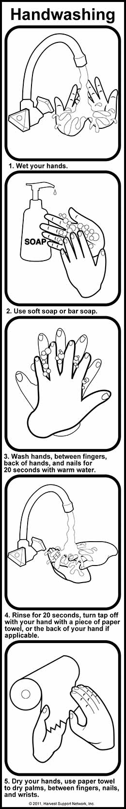 Quick reference on handwashing.