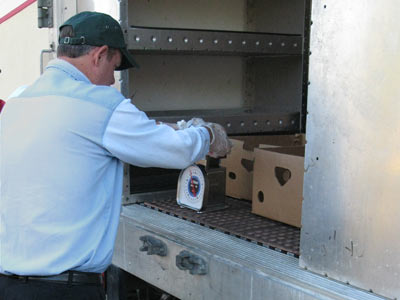The floor of an insulated truck